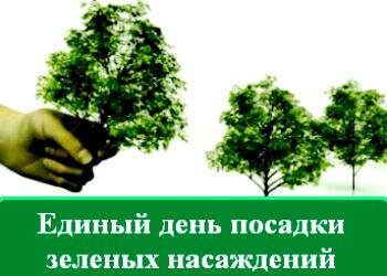 В Рязани 12 октября пройдет экологическая акция «Единый день посадки зеленых насаждений»